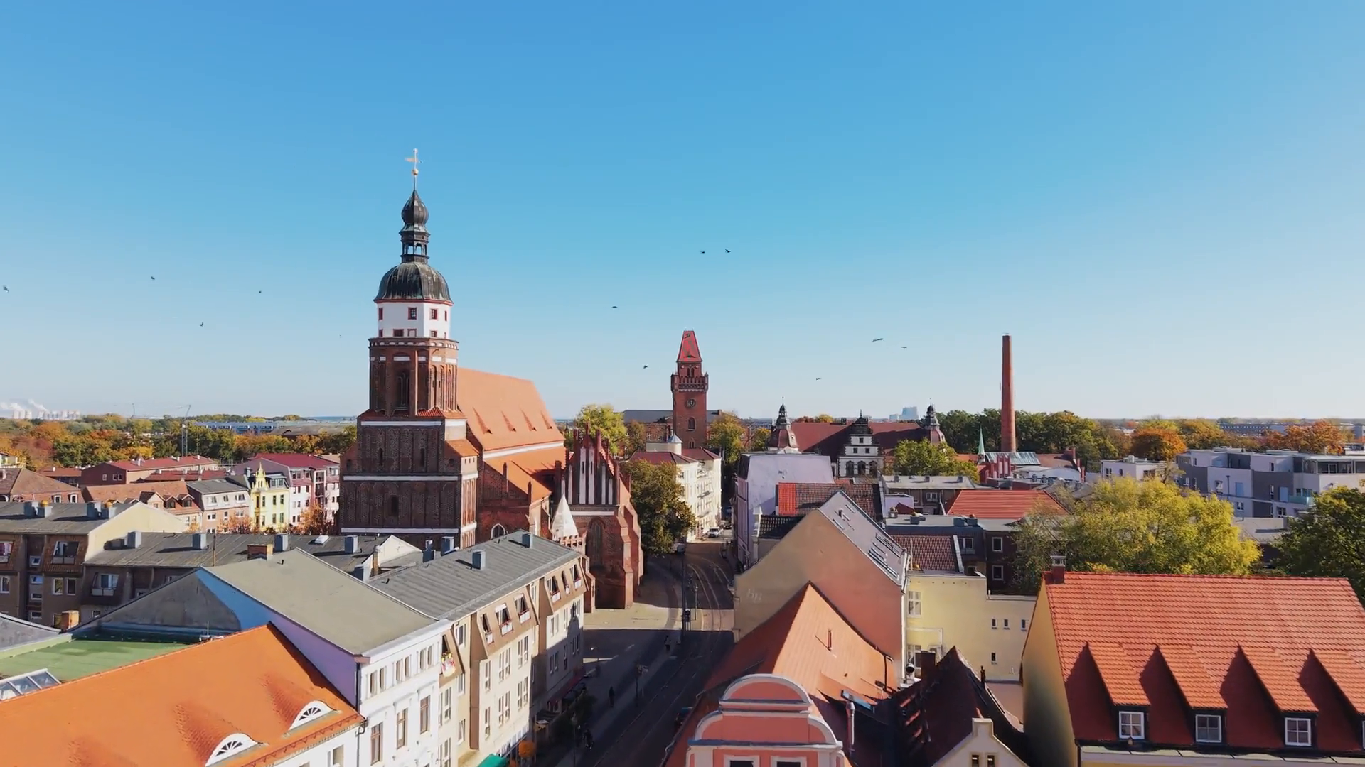 Imagecottbus Ohne Text Lq