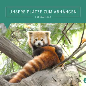 12 UBL Motiv PlaetzeZumAbhaengen
